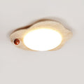 aeolian-bloom-ceiling-light-anzaz--3