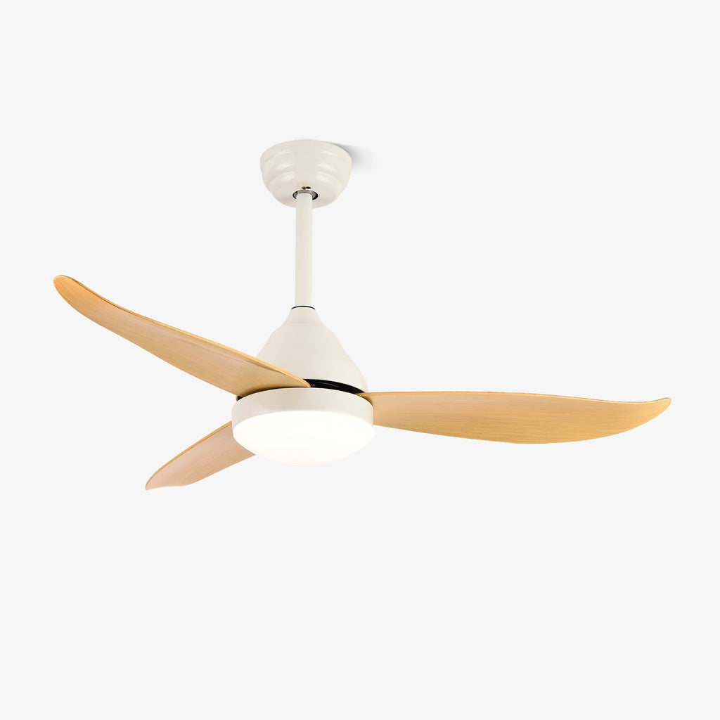 aeris-whisper-ceiling-fan-light-anzaz-Black-1