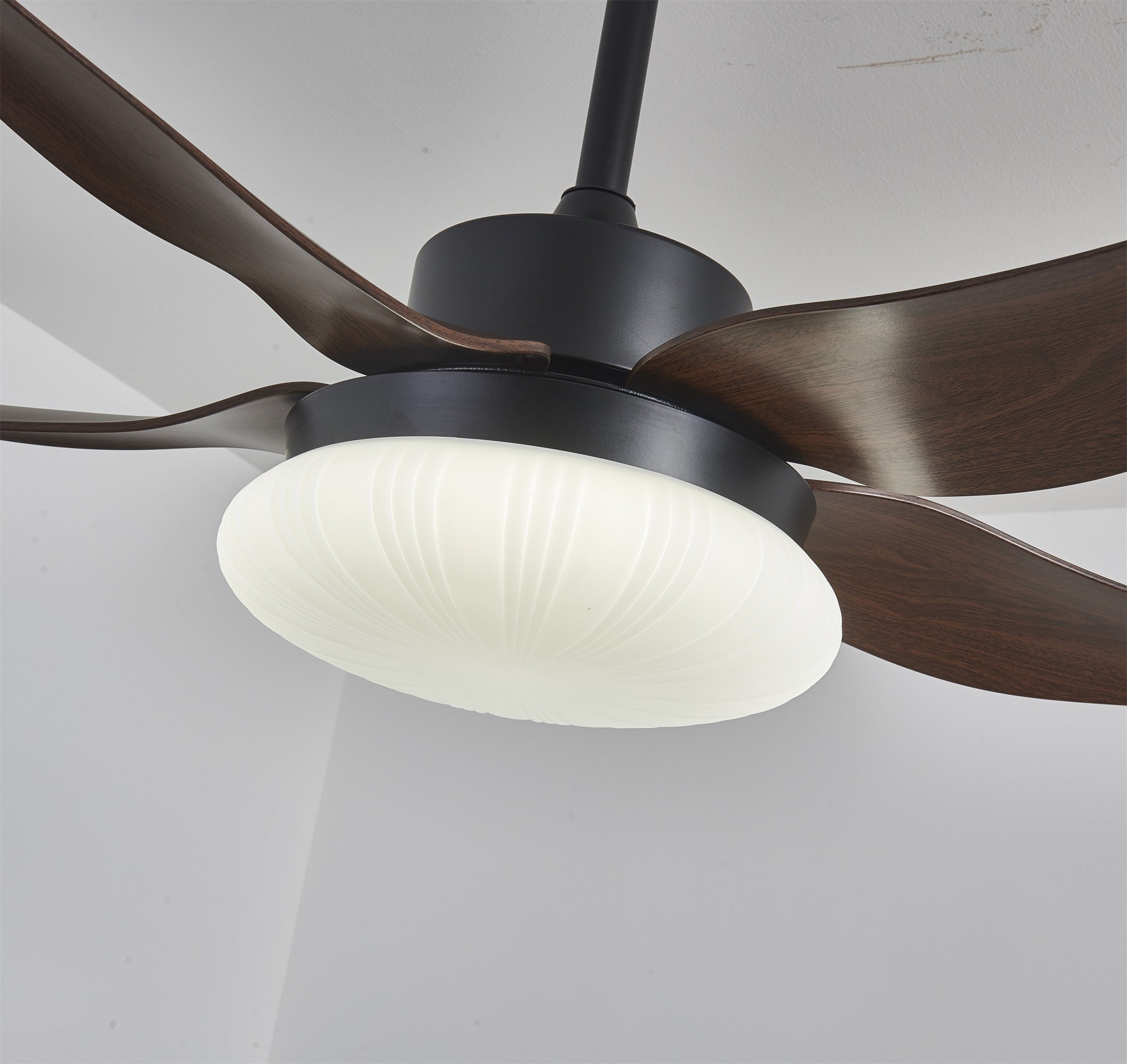 aero-palm-ceiling-fan-light-anzaz--12