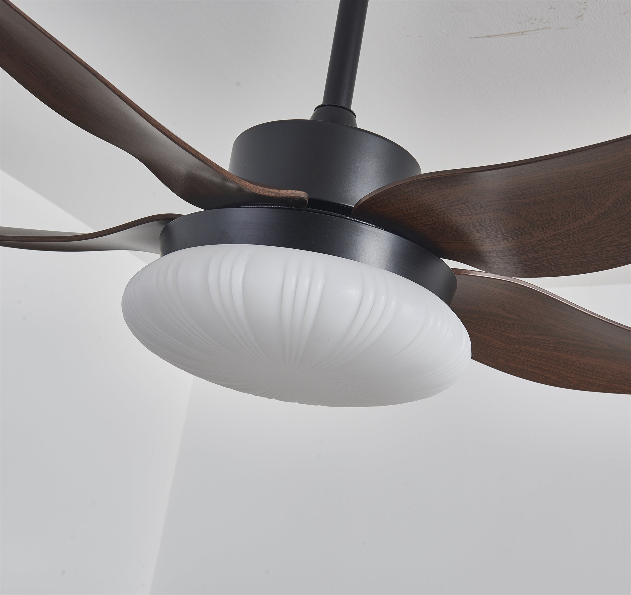 aero-palm-ceiling-fan-light-anzaz--13