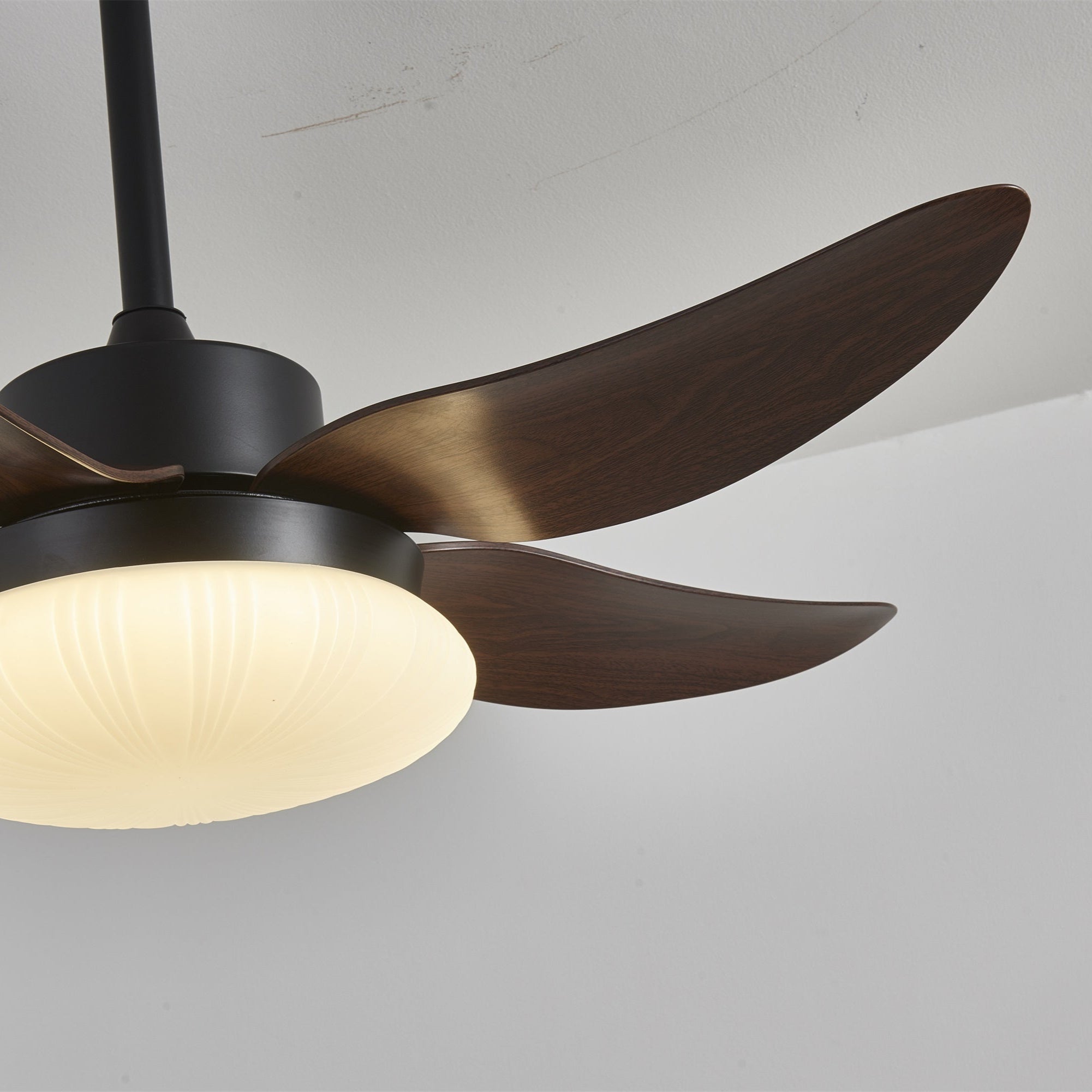 aero-palm-ceiling-fan-light-anzaz--14