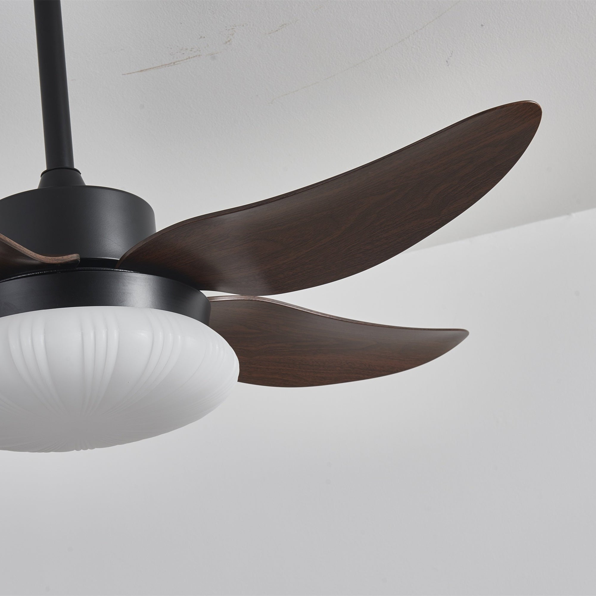 aero-palm-ceiling-fan-light-anzaz--15
