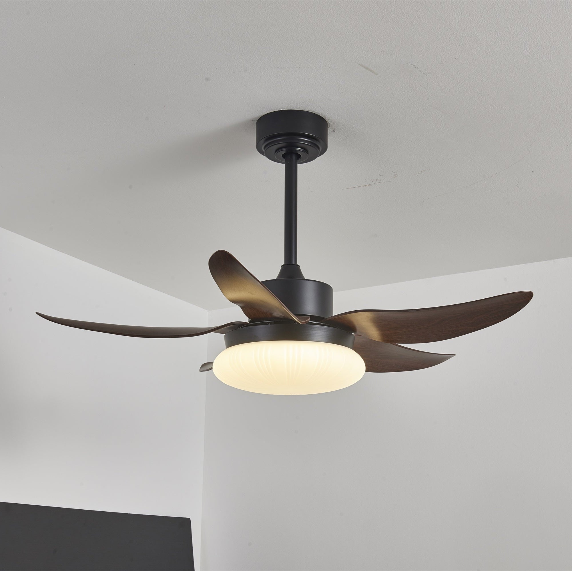 aero-palm-ceiling-fan-light-anzaz--2