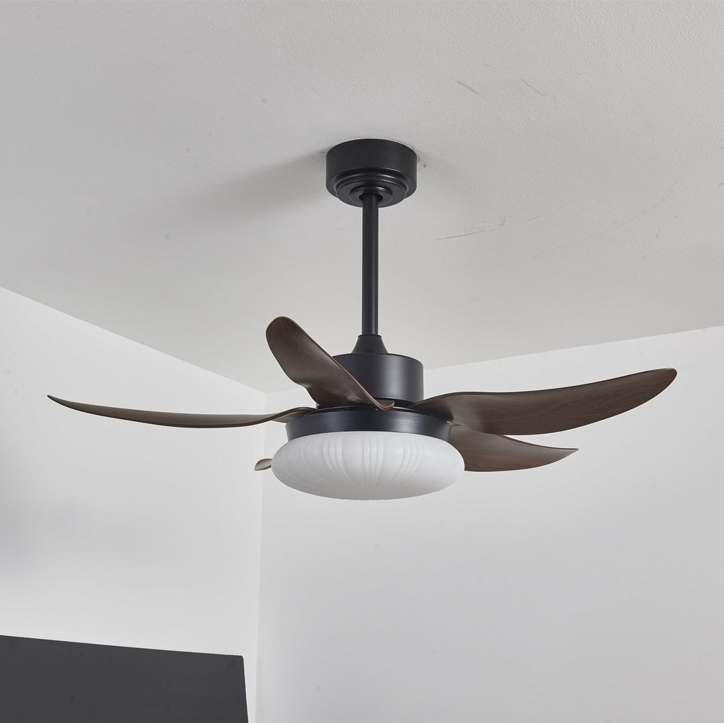 aero-palm-ceiling-fan-light-anzaz--5