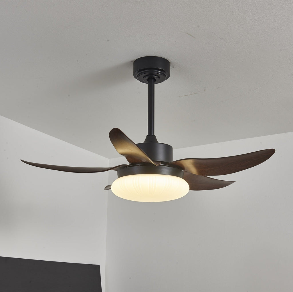aero-palm-ceiling-fan-light-anzaz--6
