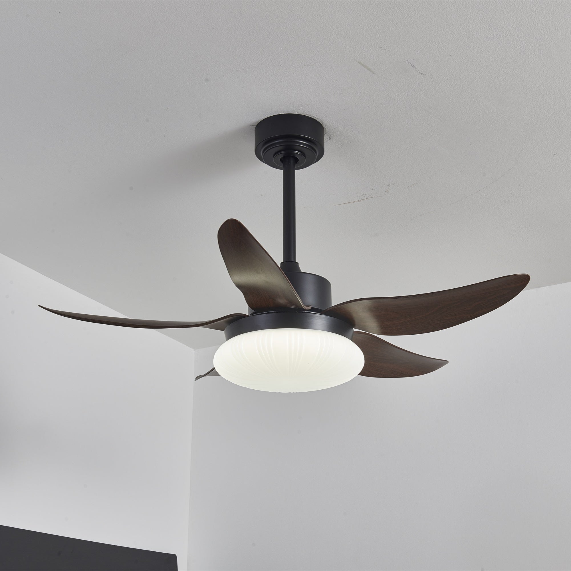 aero-palm-ceiling-fan-light-anzaz--8