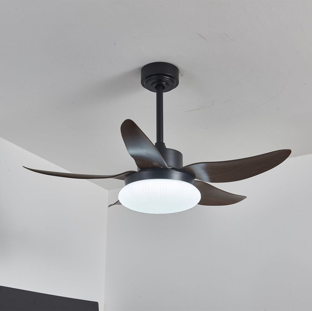 aero-palm-ceiling-fan-light-anzaz--9