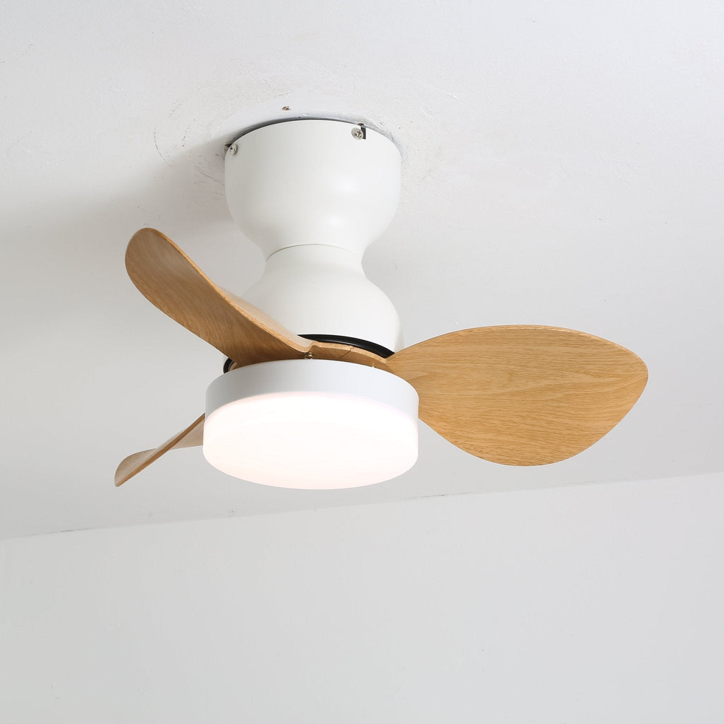 aeroleaf-ceiling-fan-light-anzaz--9