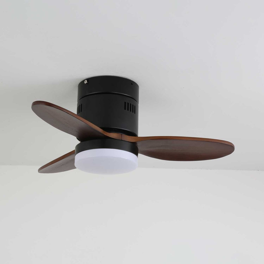 aeroluxe-modern-ceiling-fan-light-anzaz--25