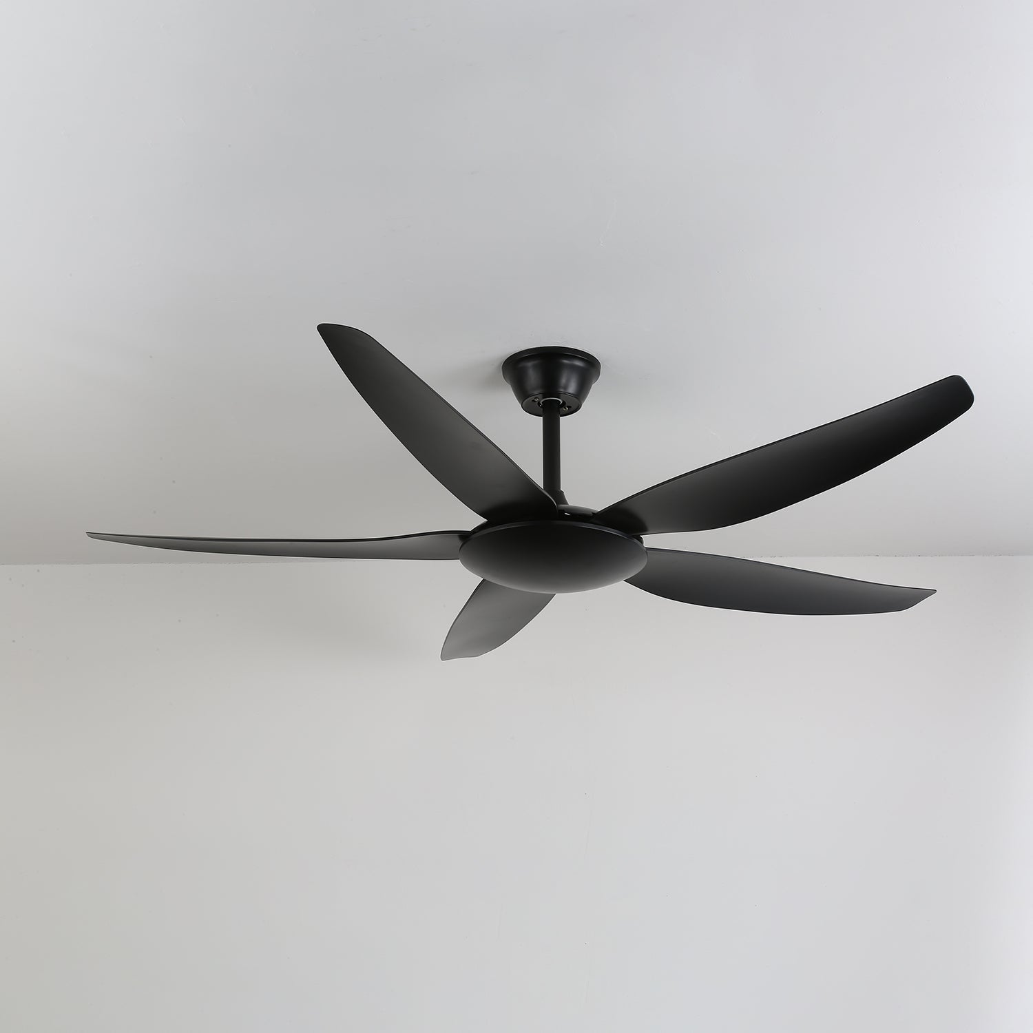 aeron-noir-ceiling-fan-anzaz--3
