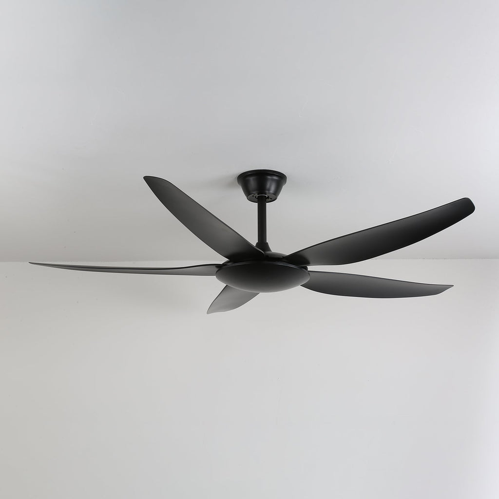 aeron-noir-ceiling-fan-anzaz--4