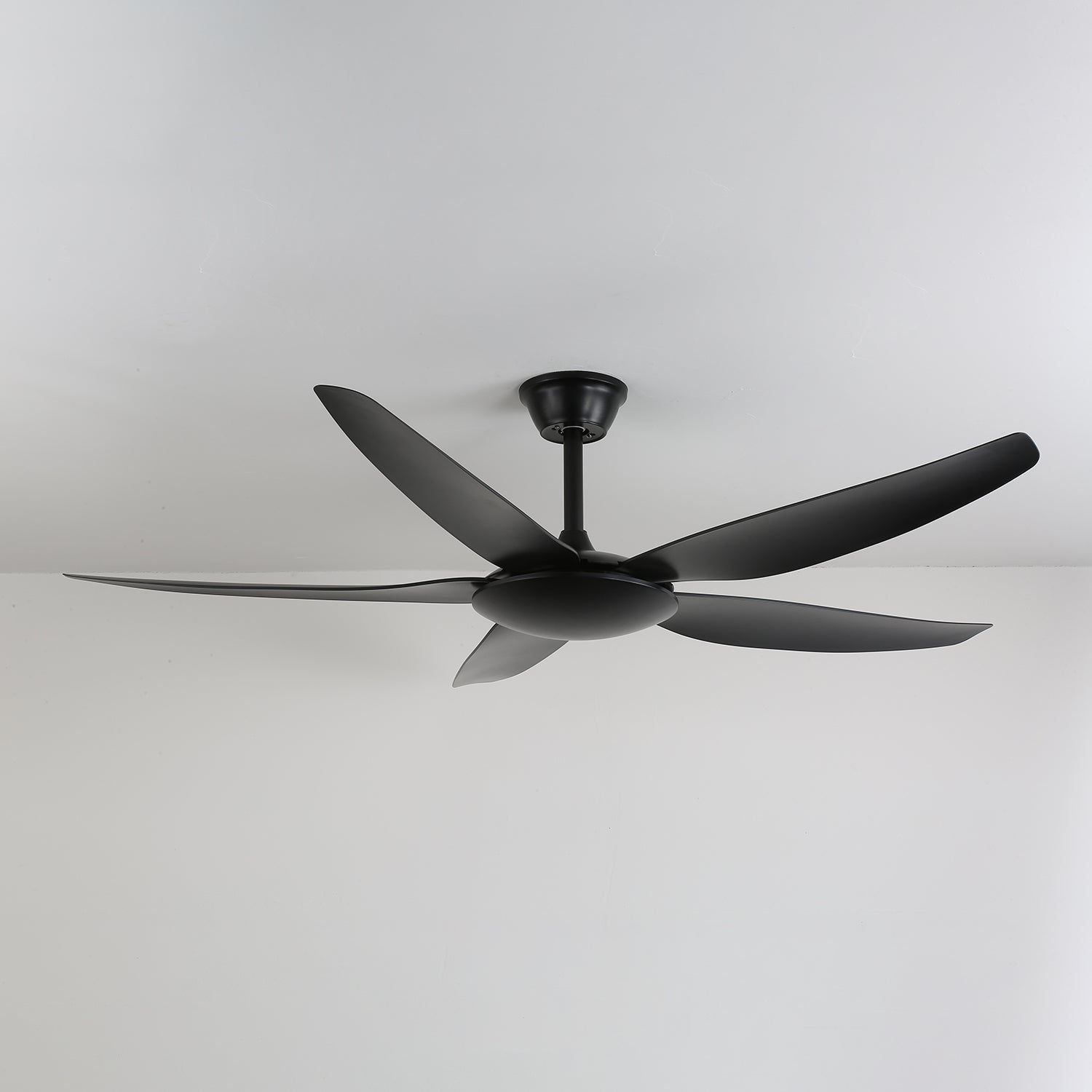 aeron-noir-ceiling-fan-anzaz--4