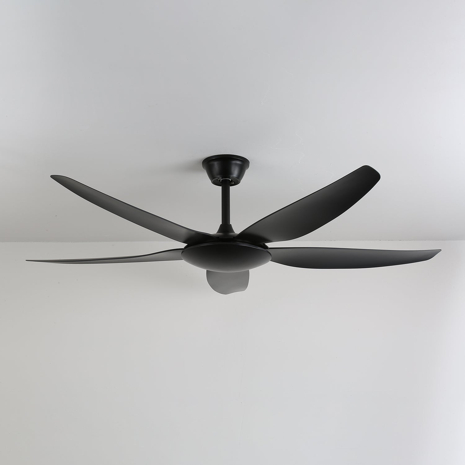 aeron-noir-ceiling-fan-anzaz--5