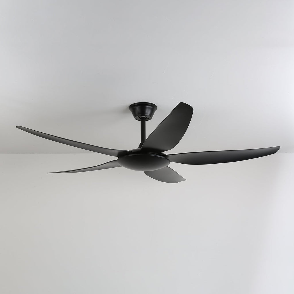 aeron-noir-ceiling-fan-anzaz--6