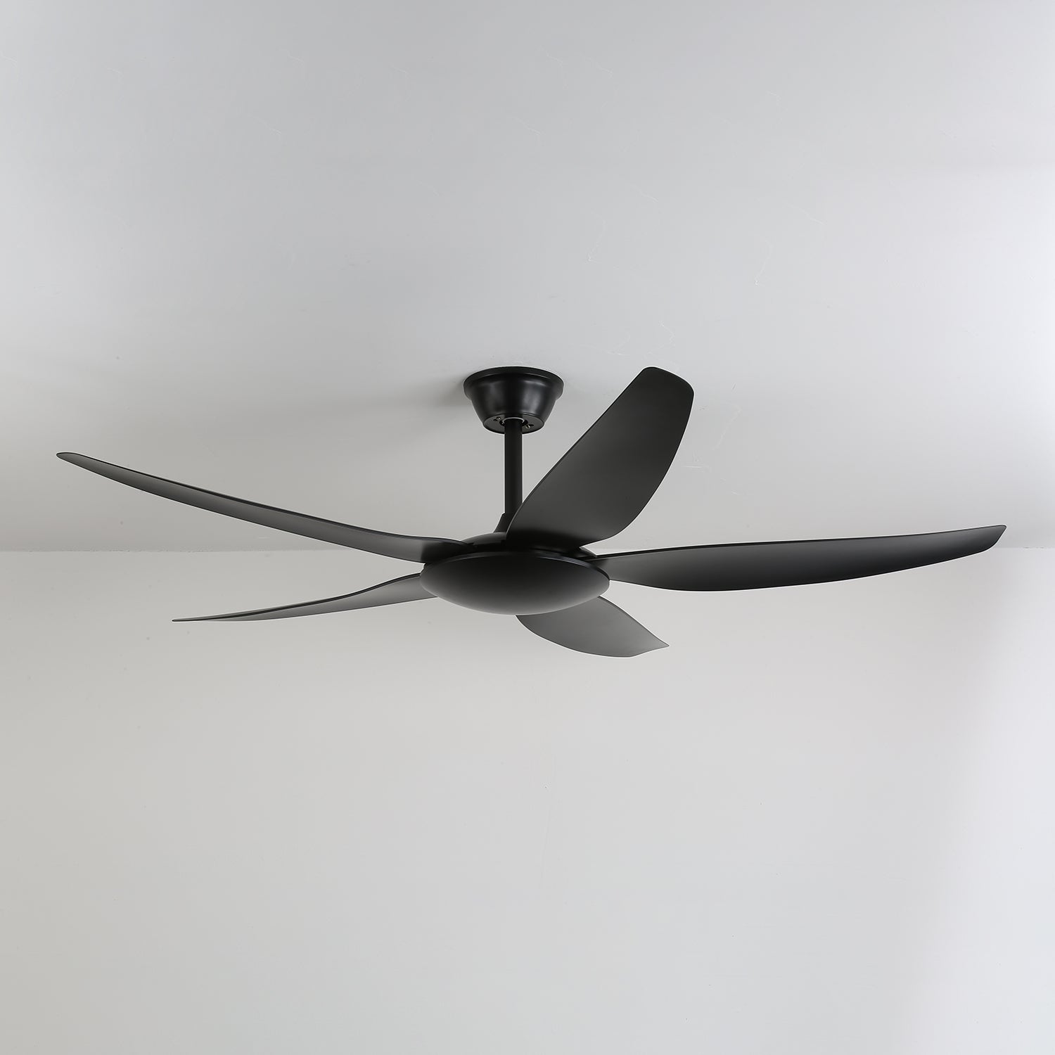 aeron-noir-ceiling-fan-anzaz--6