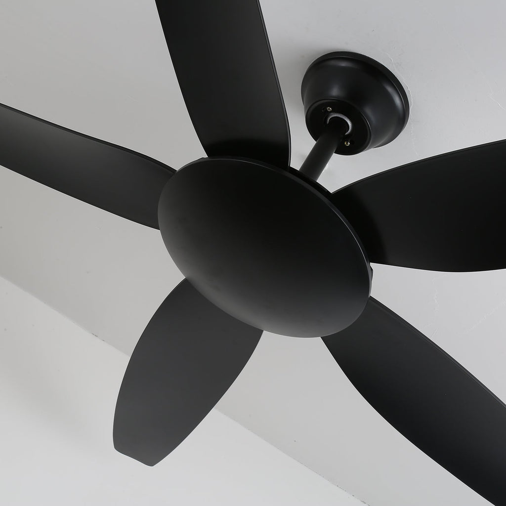 aeron-noir-ceiling-fan-anzaz--7