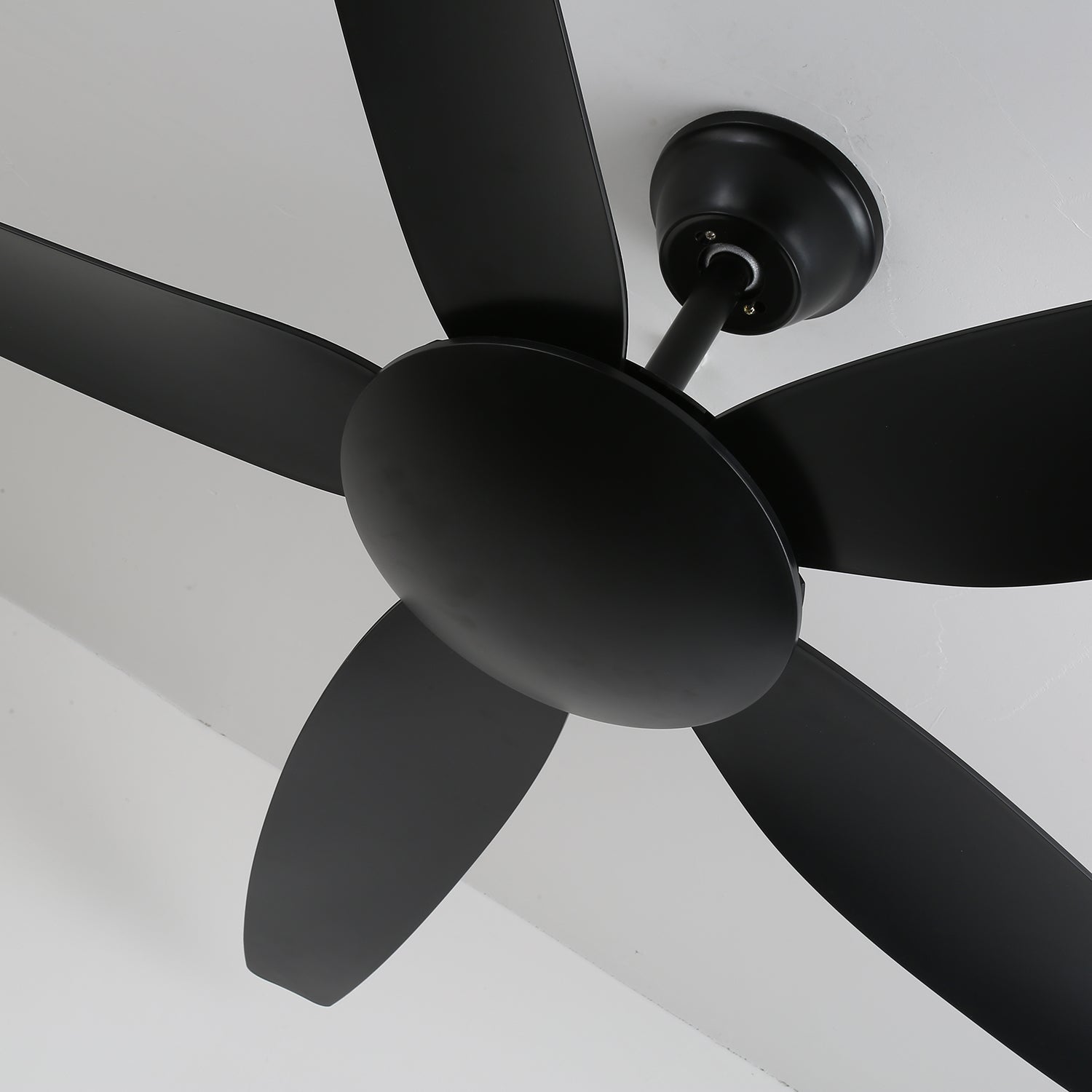 aeron-noir-ceiling-fan-anzaz--7