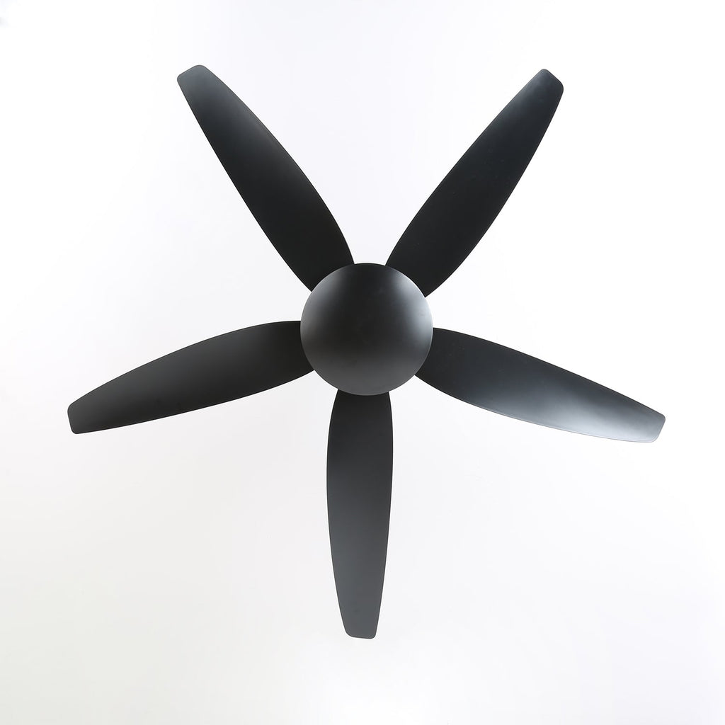 aeron-noir-ceiling-fan-anzaz--8
