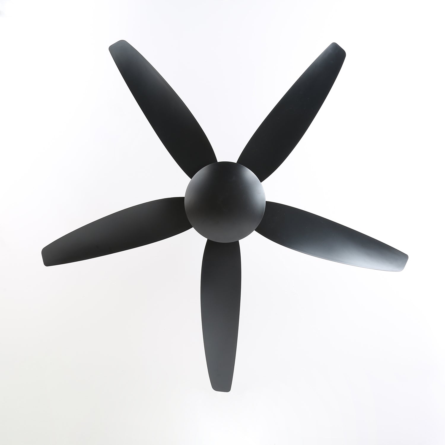 aeron-noir-ceiling-fan-anzaz--8