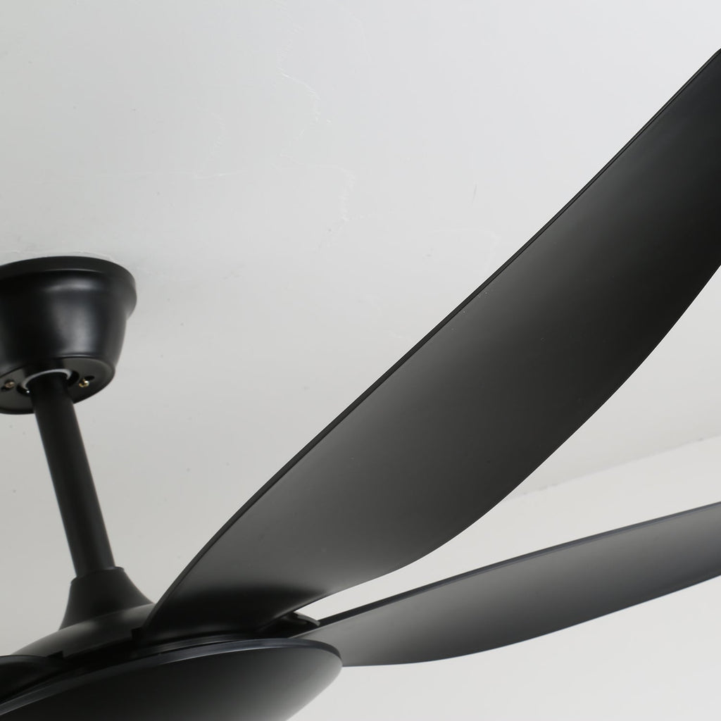 aeron-noir-ceiling-fan-anzaz--9
