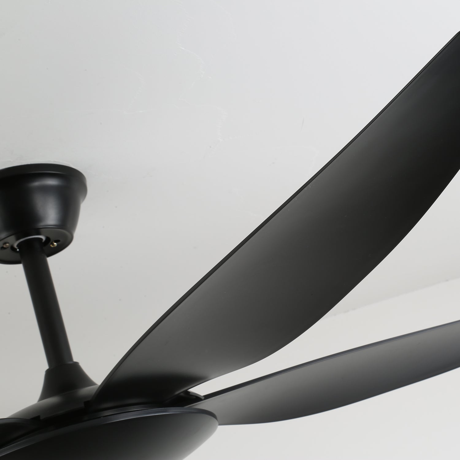 aeron-noir-ceiling-fan-anzaz--9