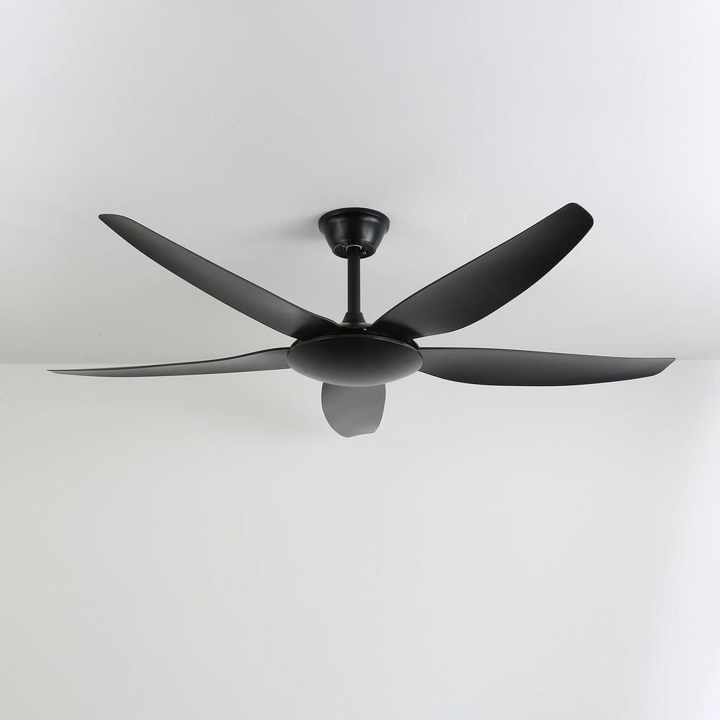 aeron-noir-ceiling-fan-anzaz--10
