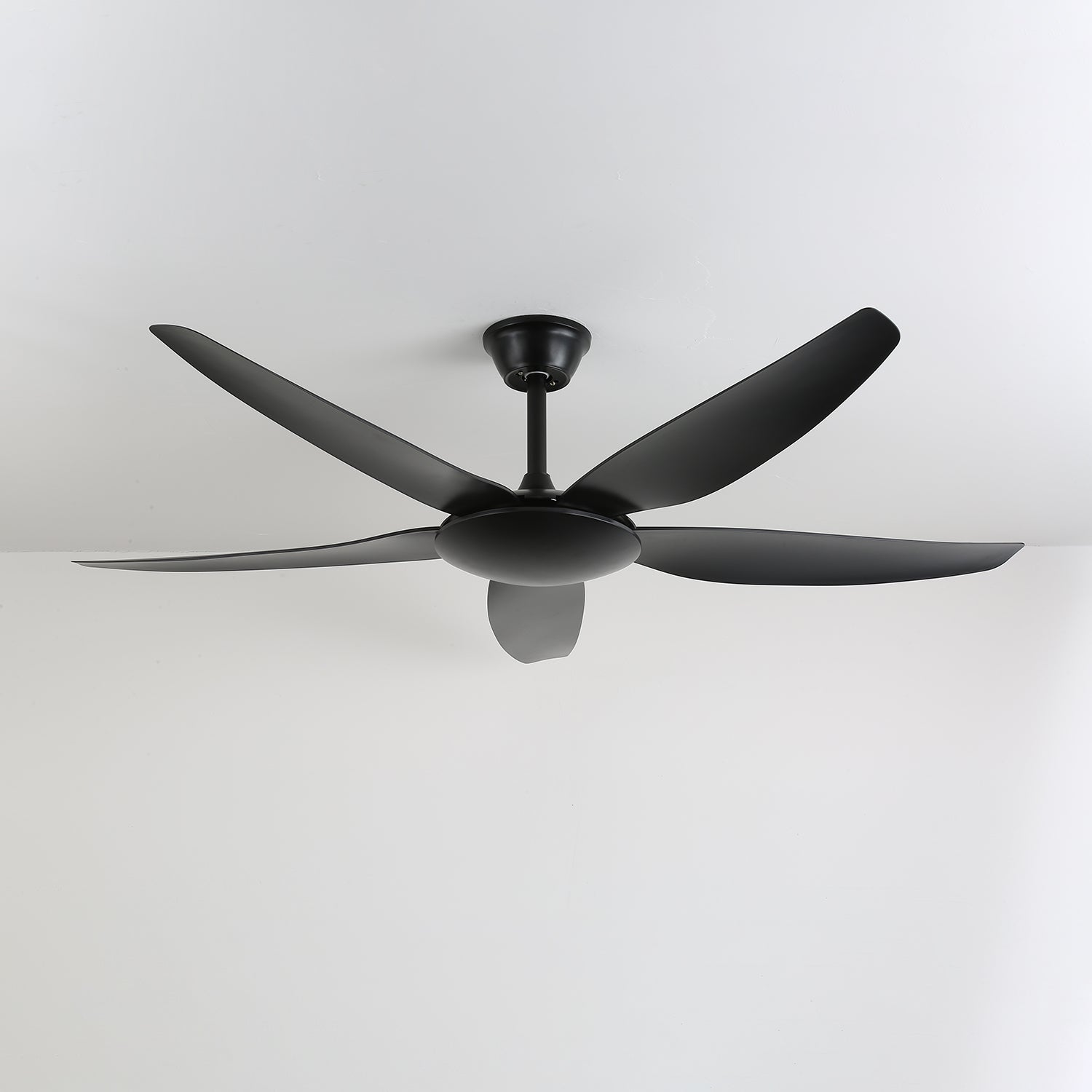 aeron-noir-ceiling-fan-anzaz--10