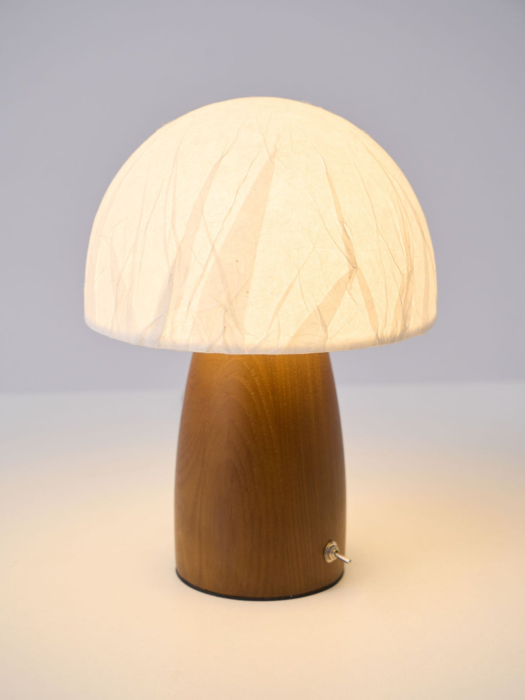 myco-mushroom-table-lamp-anzaz--10