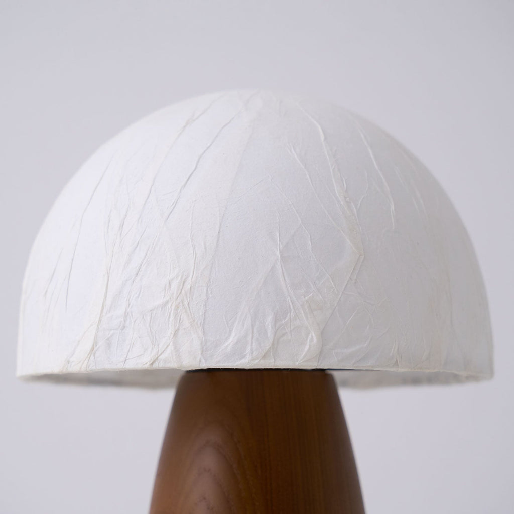 myco-mushroom-table-lamp-anzaz--14