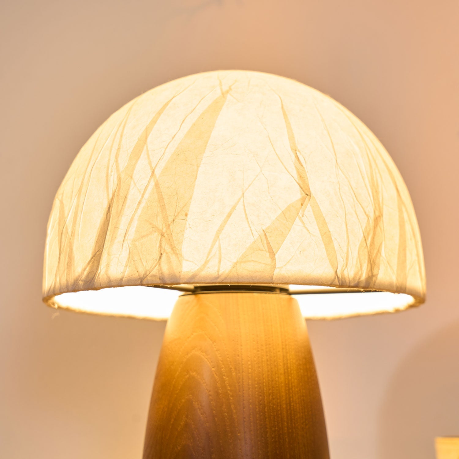 myco-mushroom-table-lamp-anzaz--13