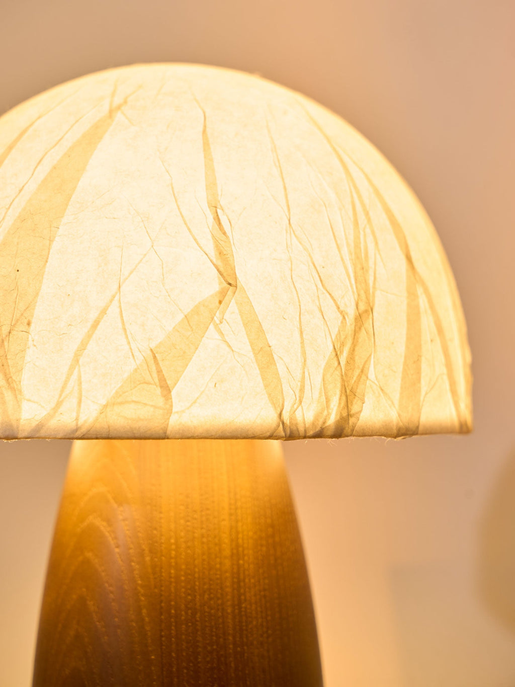 myco-mushroom-table-lamp-anzaz--12