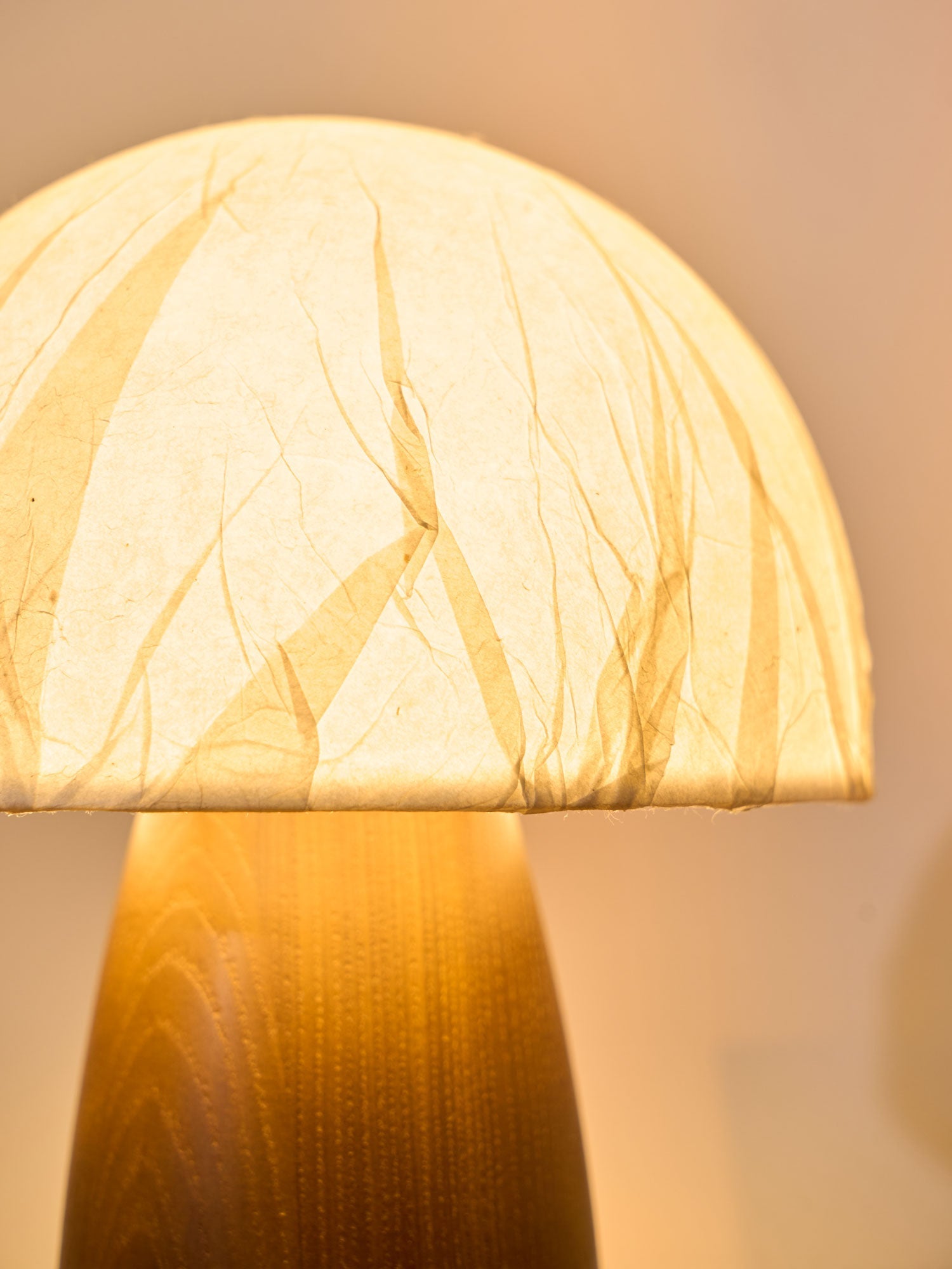 myco-mushroom-table-lamp-anzaz--12