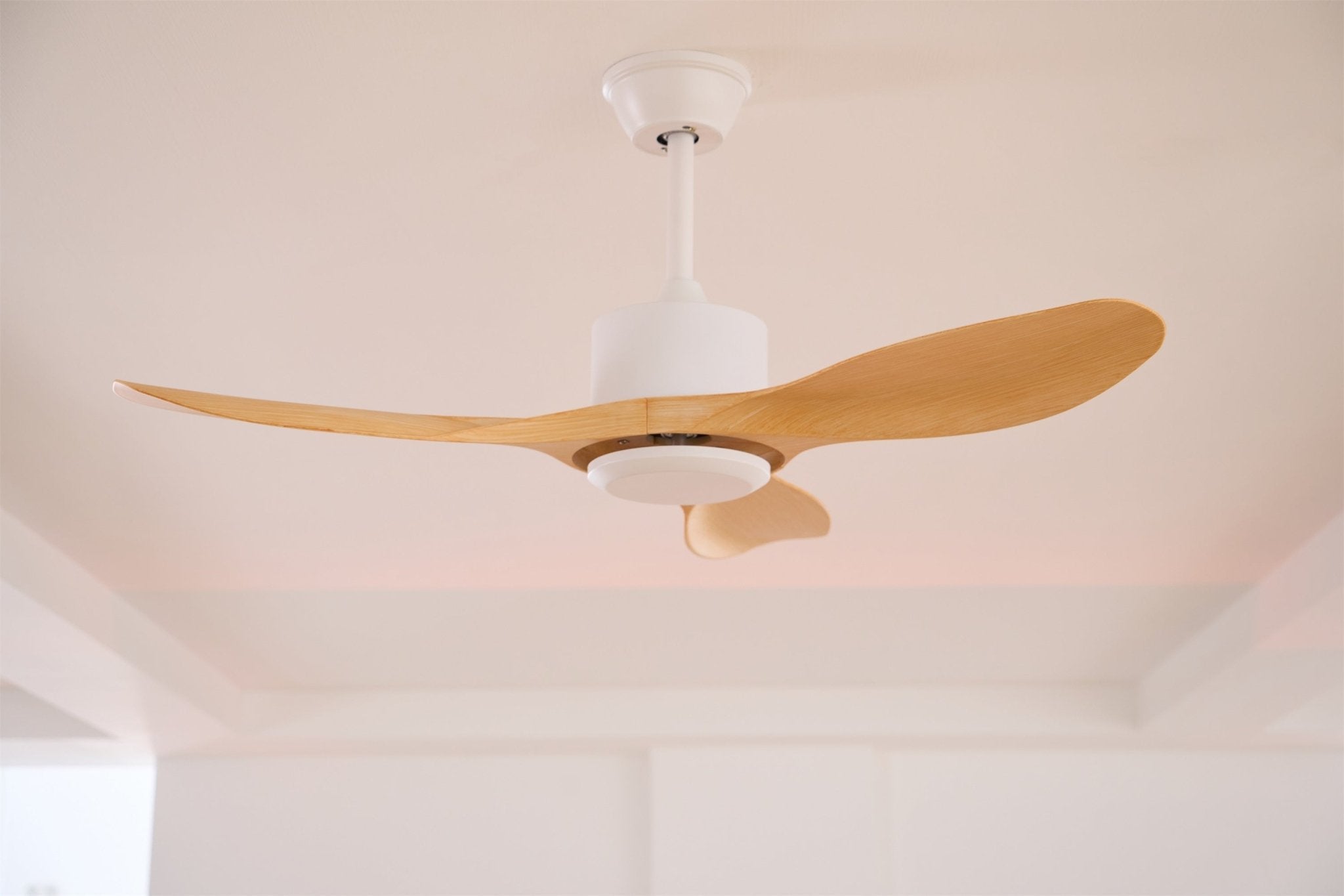 amelia-ceiling-fan-anzaz--31