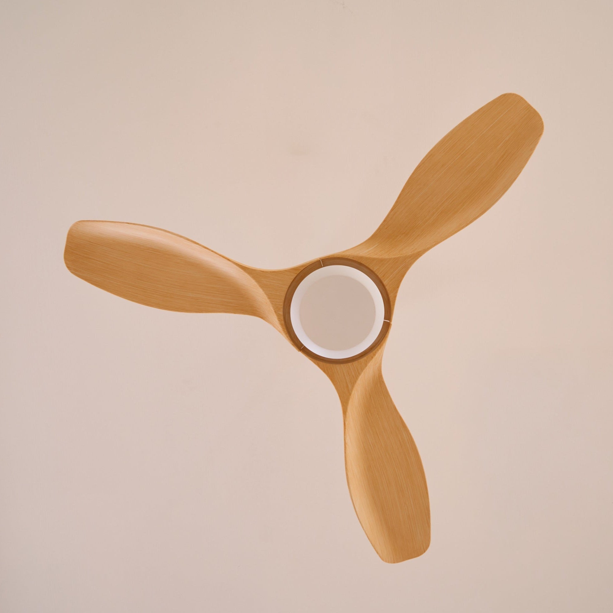 amelia-ceiling-fan-anzaz--22