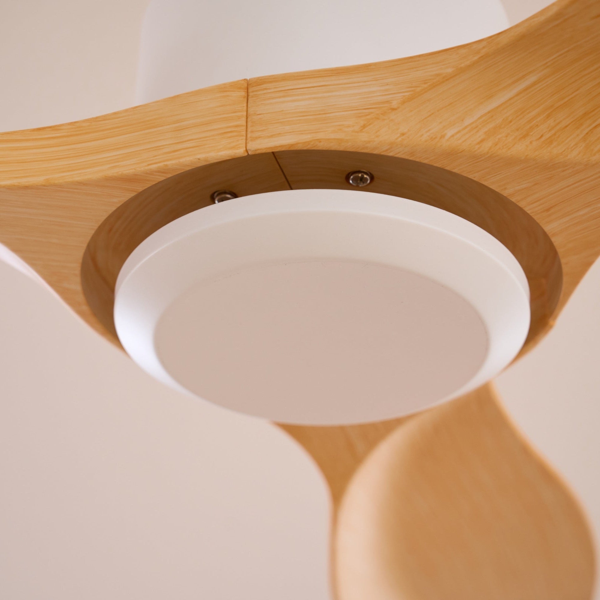 amelia-ceiling-fan-anzaz--21