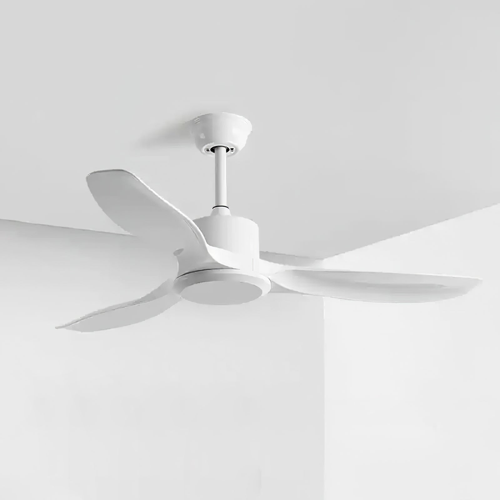 amelia-ceiling-fan-anzaz--29