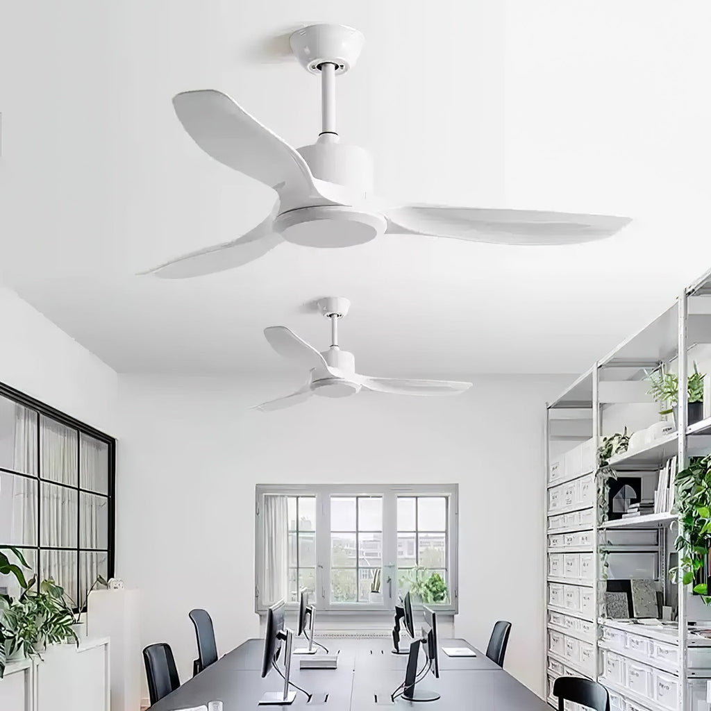 amelia-ceiling-fan-anzaz--16
