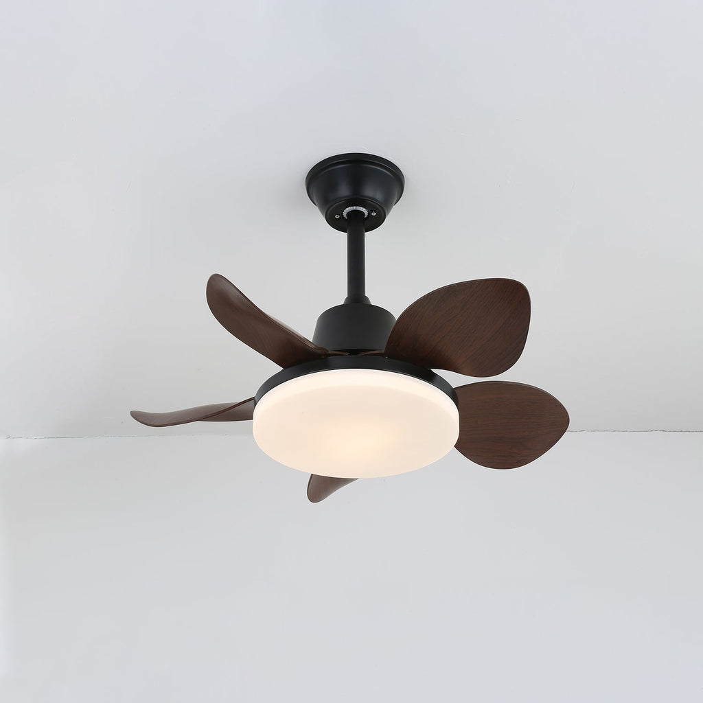 amelia-ceiling-fan-light-anzaz--6