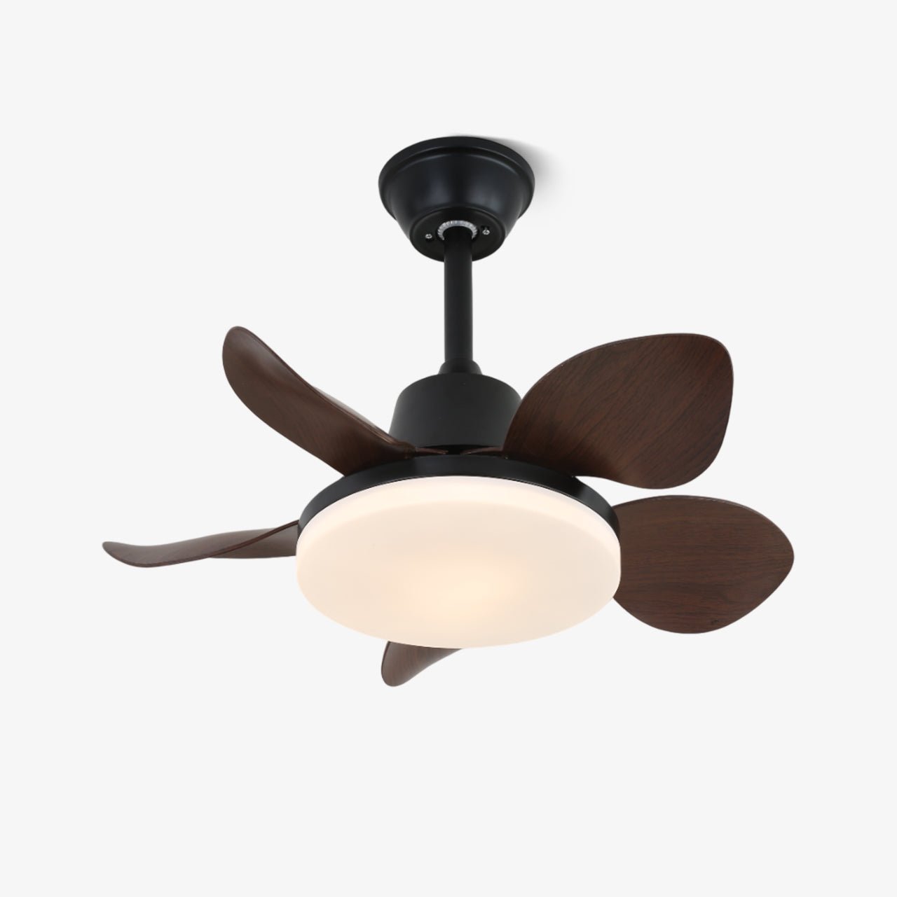 amelia-ceiling-fan-light-anzaz--5