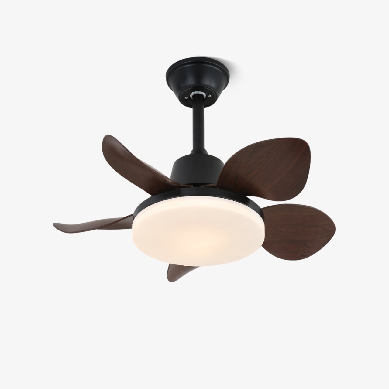 amelia-ceiling-fan-light-anzaz-Walnut Wood Grain & Black-1