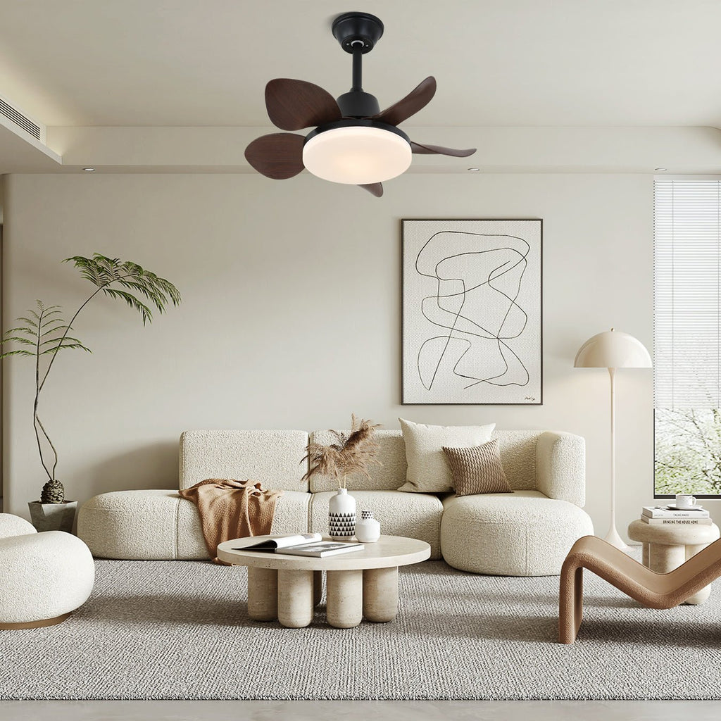 amelia-ceiling-fan-light-anzaz--4