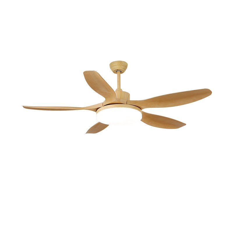 keltis-ceiling-fan-light-anzaz--20