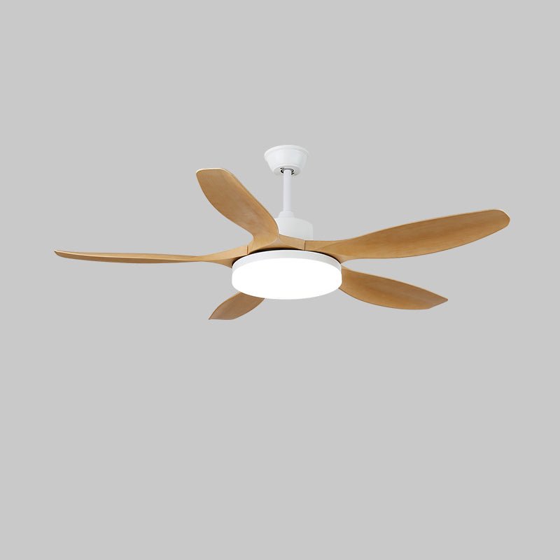 keltis-ceiling-fan-light-anzaz--23