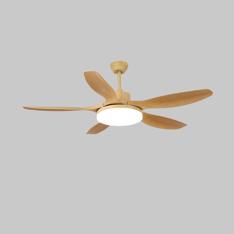 keltis-ceiling-fan-light-anzaz--25