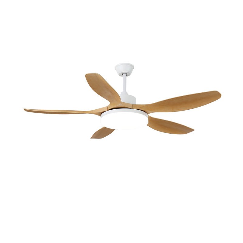 keltis-ceiling-fan-light-anzaz--18