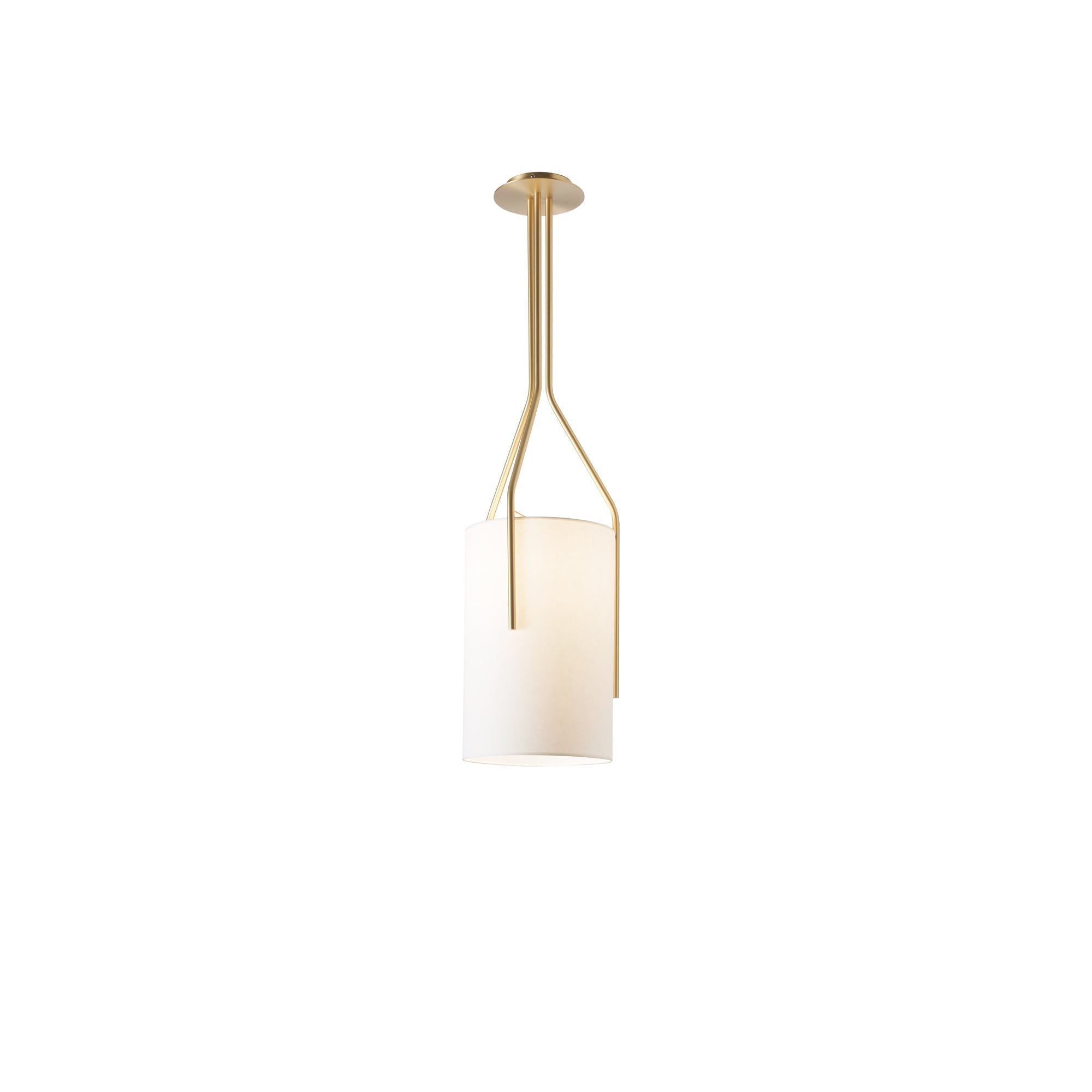 arborescence-chandelier-light-anzaz--52