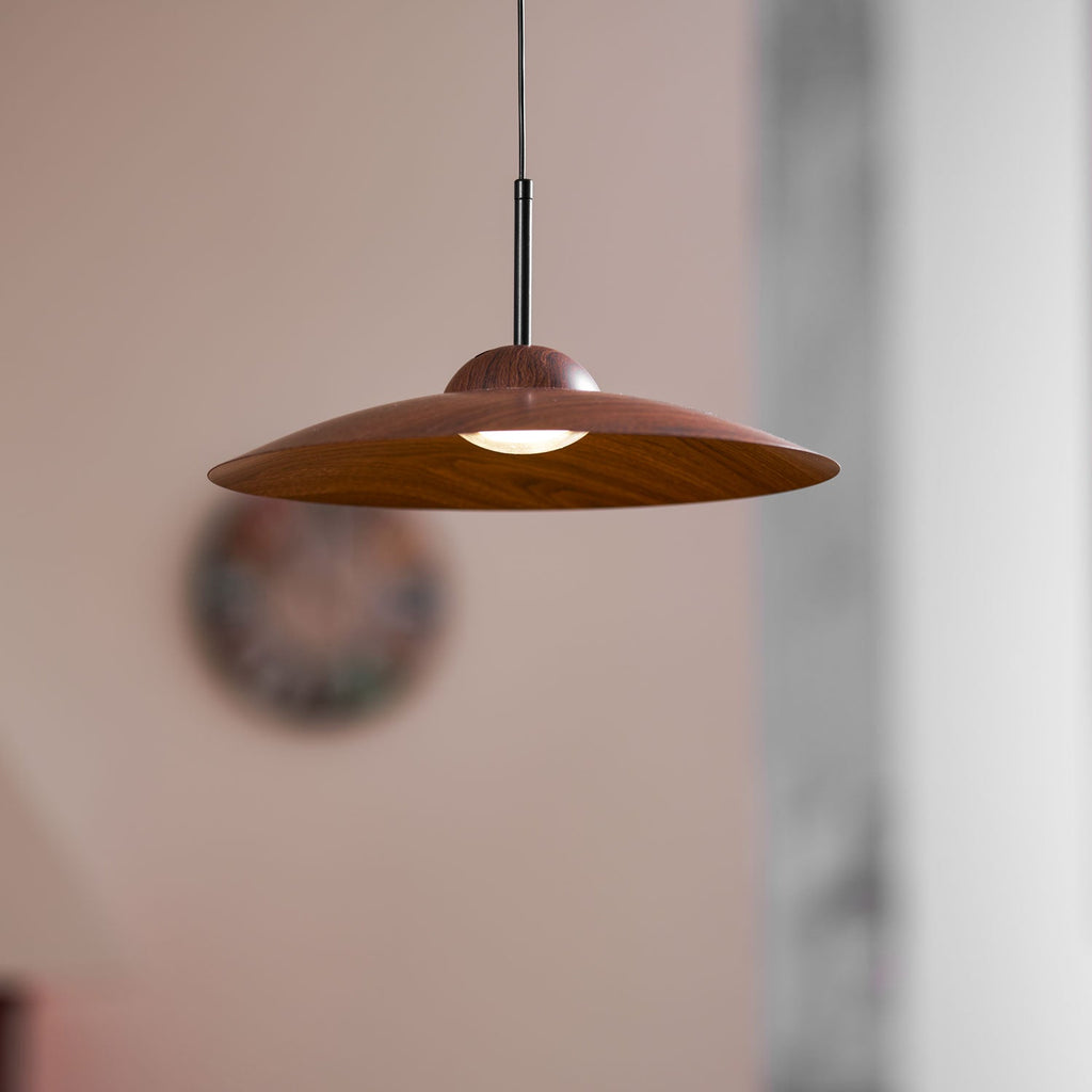 arcadian-pendant-light-anzaz--28