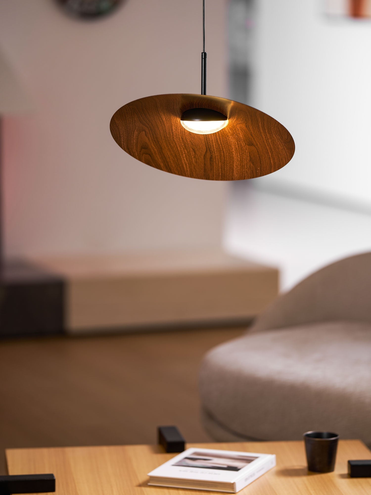 arcadian-pendant-light-anzaz--29