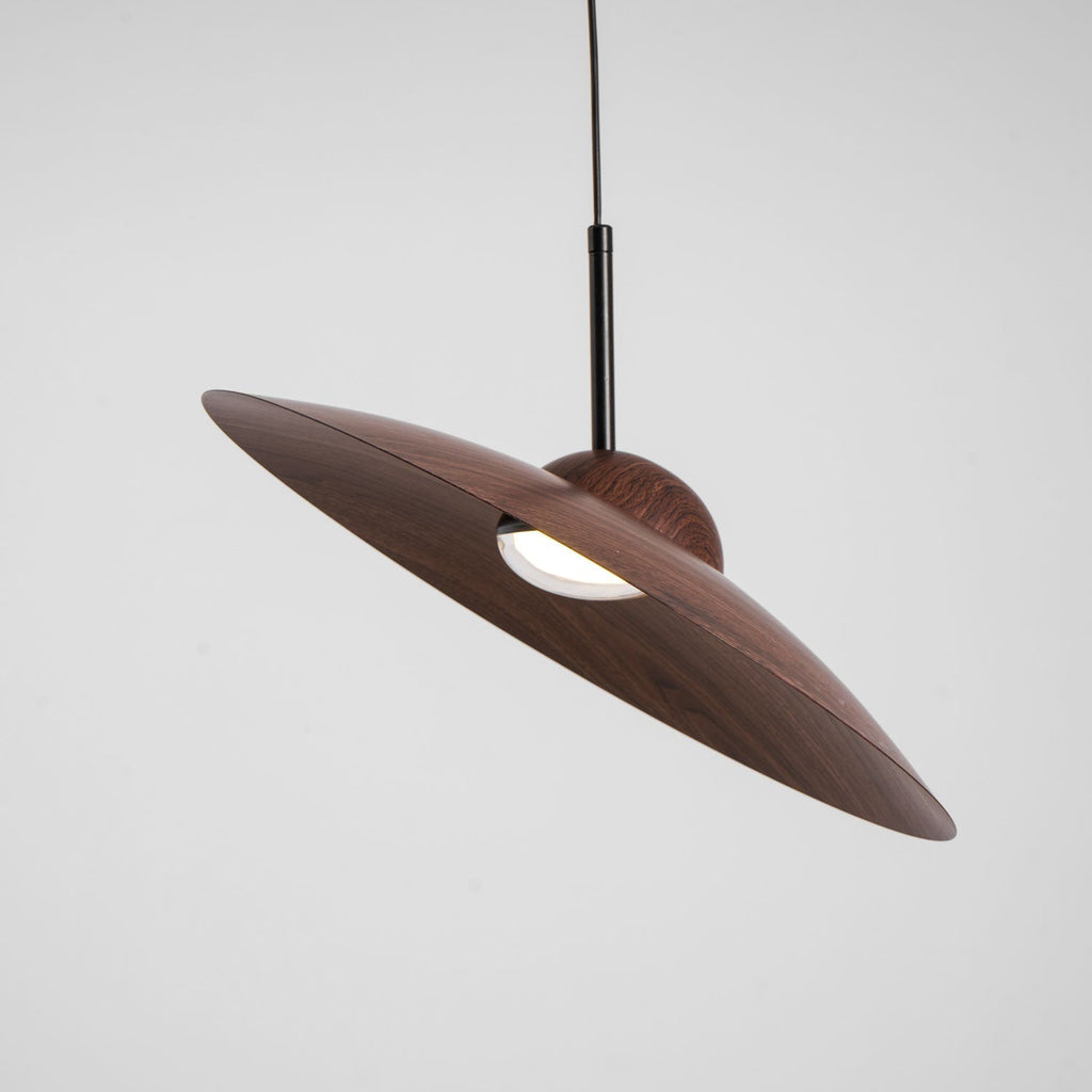 arcadian-pendant-light-anzaz--37