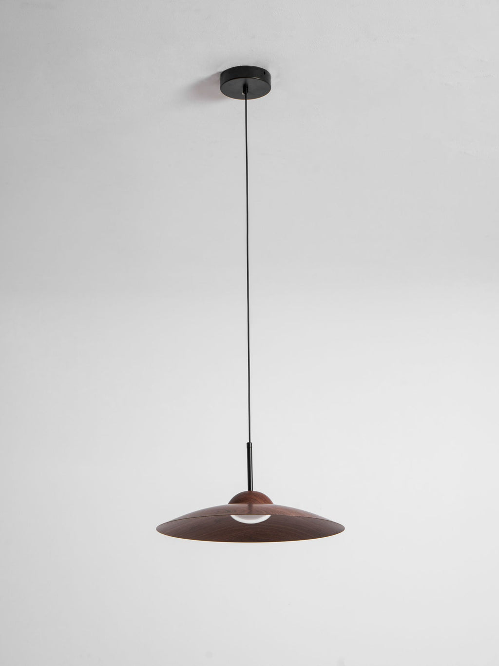 arcadian-pendant-light-anzaz--43
